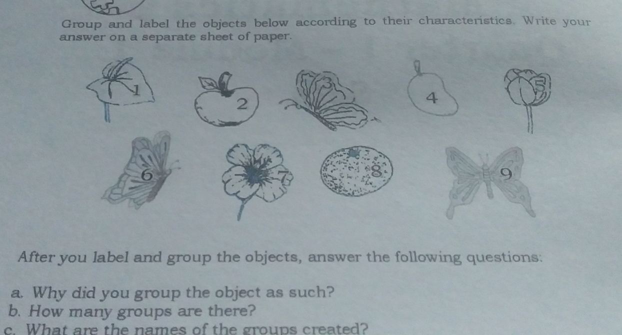 Group and label the objects below according to their characteristics. Write your answer on a separate sheet of paper. 1 2 4 9 After you label and group the objects, answer the following questions: a. Why did you group the object as such? b. How many groups are there? c. What are the names of the groups created?